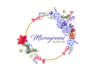 logo design by czars