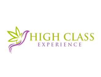 High Class Experience  logo design by AamirKhan