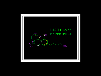 High Class Experience  logo design by luckyprasetyo