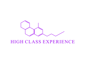 High Class Experience  logo design by Kraken