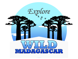 Explore Wild Madagascar  logo design by Sofia Shakir