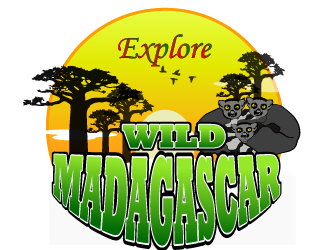 Explore Wild Madagascar  logo design by Sofia Shakir