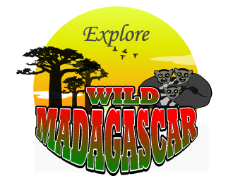 Explore Wild Madagascar  logo design by Sofia Shakir