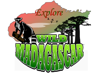 Explore Wild Madagascar  logo design by Sofia Shakir