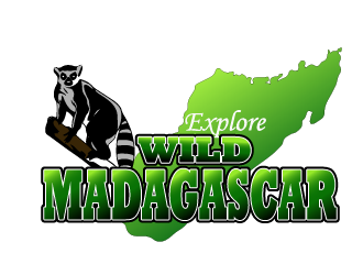 Explore Wild Madagascar  logo design by Sofia Shakir