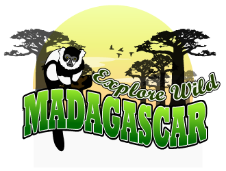 Explore Wild Madagascar  logo design by Sofia Shakir