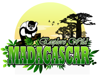 Explore Wild Madagascar  logo design by Sofia Shakir