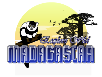 Explore Wild Madagascar  logo design by Sofia Shakir