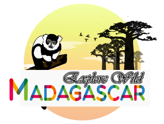 Explore Wild Madagascar  logo design by Sofia Shakir