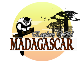 Explore Wild Madagascar  logo design by Sofia Shakir