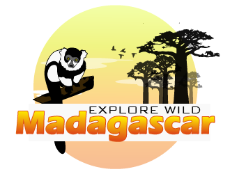 Explore Wild Madagascar  logo design by Sofia Shakir