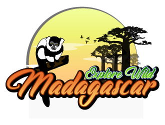 Explore Wild Madagascar  logo design by Sofia Shakir