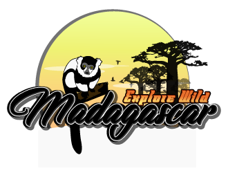 Explore Wild Madagascar  logo design by Sofia Shakir