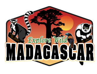 Explore Wild Madagascar  logo design by Sofia Shakir