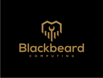 Blackbeard Computing logo design by veter