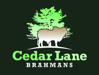 Cedar Lane Brahmans  logo design by ansh