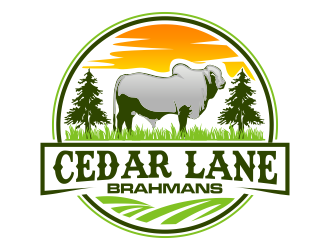 Cedar Lane Brahmans  logo design by qqdesigns