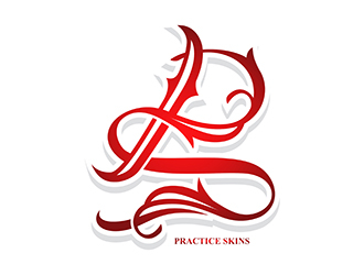 Practice Skins logo design by gitzart