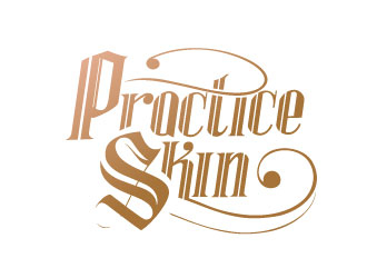 Practice Skins logo design by sanworks