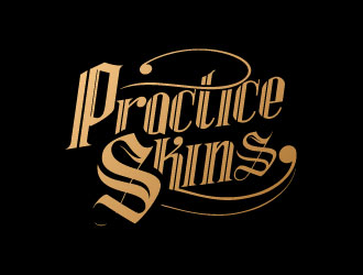 Practice Skins logo design by sanworks