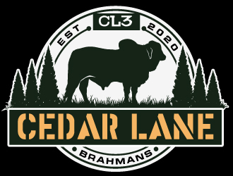 Cedar Lane Brahmans  logo design by LucidSketch