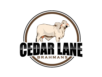 Cedar Lane Brahmans  logo design by AamirKhan