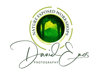 Nature Exposed Workshops - David Enos Photography logo design by MCXL