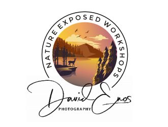 Nature Exposed Workshops - David Enos Photography logo design by ramapea