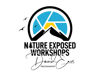 Nature Exposed Workshops - David Enos Photography logo design by ekitessar