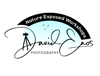 Nature Exposed Workshops - David Enos Photography logo design by Suvendu