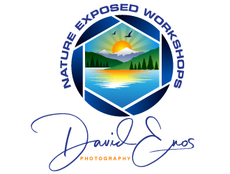 Nature Exposed Workshops - David Enos Photography logo design by Suvendu