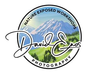 Nature Exposed Workshops - David Enos Photography logo design by Roma