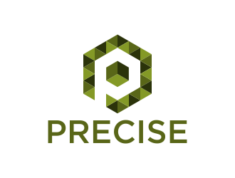 Precise logo design by p0peye