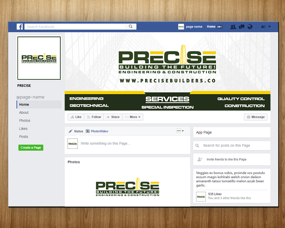 Precise logo design by MastersDesigns