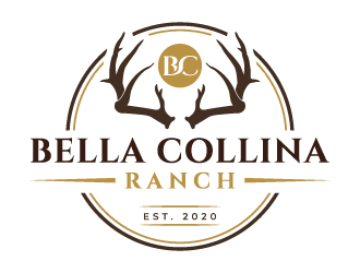 logo design by akilis13