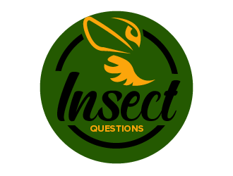 Insect Questions logo design by czars