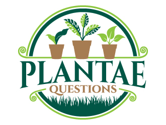 logo design by jaize