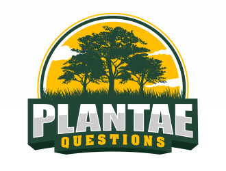 logo design by ingepro