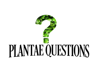 logo design by ElonStark