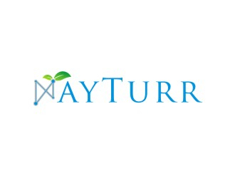 Nayturr logo design by narnia