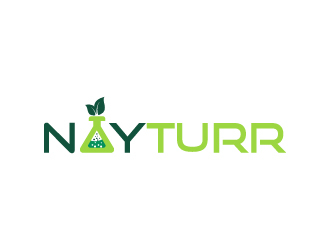 Nayturr logo design by aryamaity