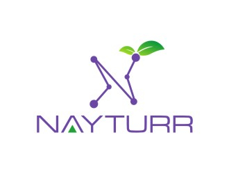Nayturr logo design by narnia