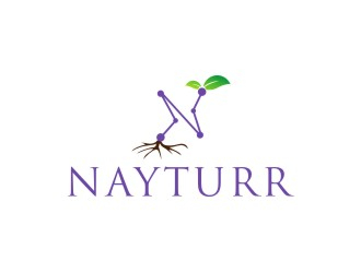 Nayturr logo design by narnia