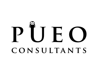 Pueo Consultants logo design by cintoko