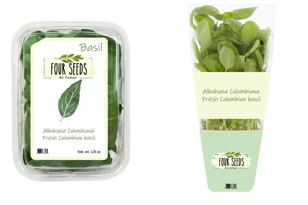 Four Seeds logo design by bulatITA