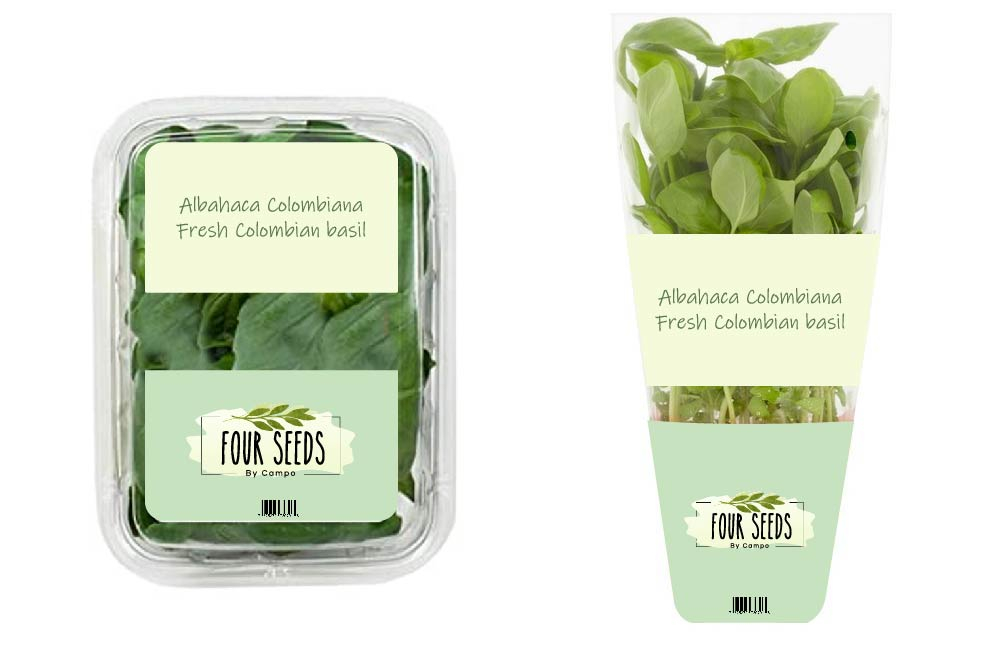  logo design by bulatITA