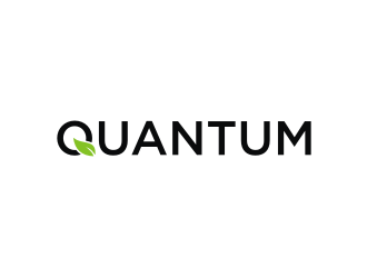Quantum logo design by ora_creative