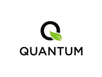 Quantum logo design by ora_creative