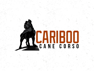 logo design by fawadyk