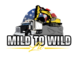  logo design by ElonStark